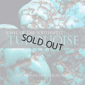 画像1: Turquoise　【Jewel of the southewst】