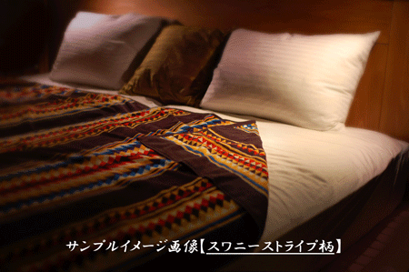 画像: Pendleton:ペンドルトン タオルケット【キャニオン　ランド】